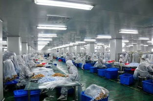 萬眾期待 南昌市再造新 千億產業
